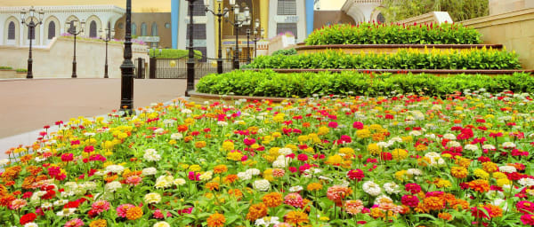 8-Hour Muscat City Tour with Grand Mosque and Muttrah Souq