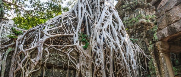3-Day Siem Reap Temple Tour with Tonle Sap and Kulen Mountain