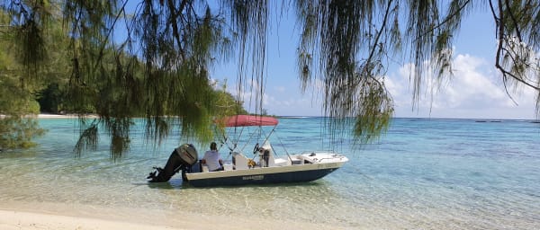 3-Hour Snorkelling Tour in Mo'orea with Cook's Bay and Marine Reserve