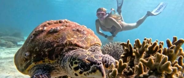 6-Hour Nosy Be Island Tour with Lemuria Land and Mount Passot