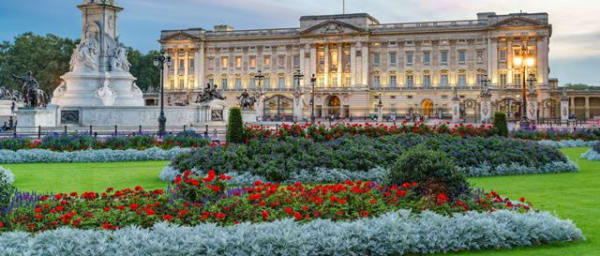 3-Hour London Walking Tour with Buckingham Palace and Big Ben