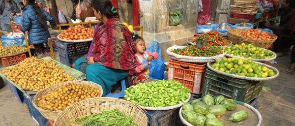 4-Hour Private Nepali Cooking Class in Kathmandu with Market Visit