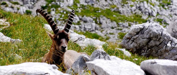 2-Day Lake Bled and Soča Valley Tour from Ljubljana with Bovec Stay