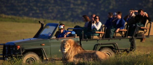 2-Day Oudtshoorn Safari from Cape Town with Big 5 and Route 62