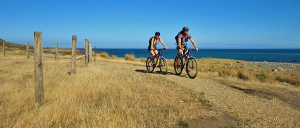 3-Day Remutaka Cycle Tour from Welligton