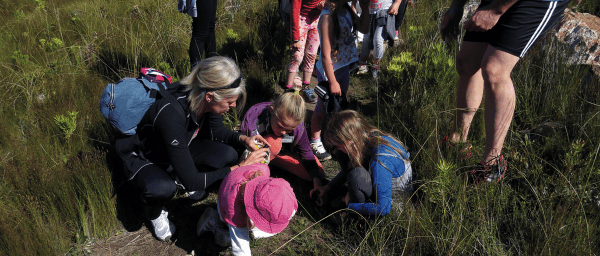 4-Hour Environmental Excursion in South Africa with Reserve Walk