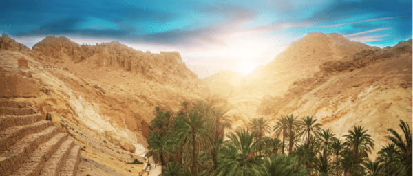 8-Day South Tunisia Desert Tour from Tozeur with Djerba and Douz