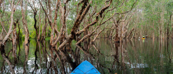 8-Hour Tanji Bird Reserve Kayaking Tour with Fishing Village Visit