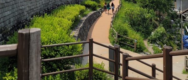 3-Hour Seoul Heritage Walk with Changdeokgung and Bukchon