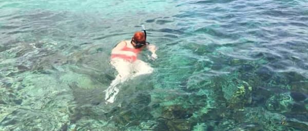3-Hour Boobikey Island Snorkelling Tour with Beach Lunch