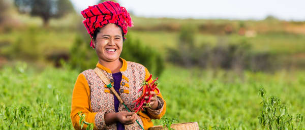 1-Day Kalaw Trekking Tour with Village Visits and Local Markets