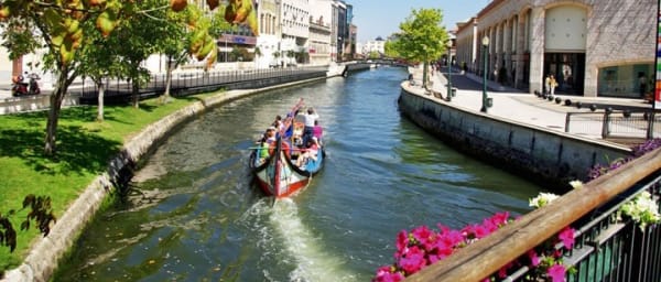 8-Hour Porto and Aveiro Sightseeing Tour with Moliceiro Cruise