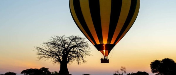 1-Day Serengeti Balloon Safari with Bush Breakfast