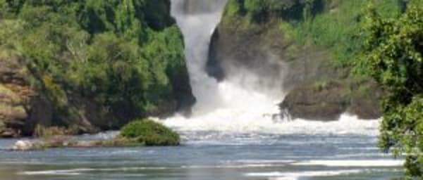 3-Day Murchison Falls Wildlife Safari with Rhino Tracking and Cruise