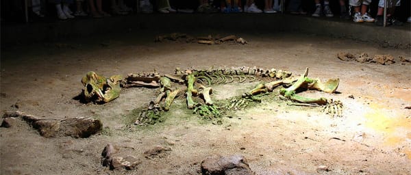 8-Hour Bear's Cave Tour from Oradea with prehistoric fossils