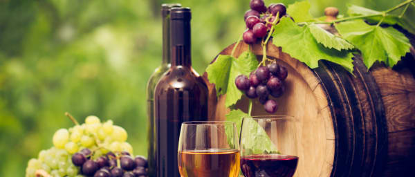 2-Hour Rome Vineyard Tour with Local Wine Tasting