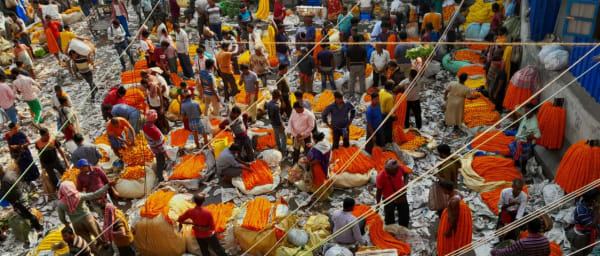 4-Hour Kolkata Bazaar Tour with Flower, Fruit and Book Markets