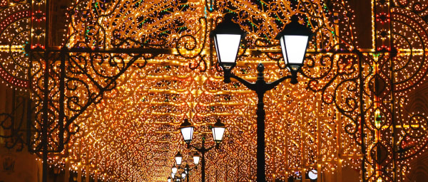 Full-Day Saint Petersburg Winter Night Tour with Troika Ride