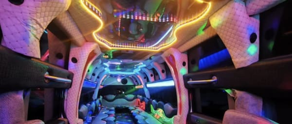 1-Day Almaty Limousine Party Experience for Bachelor Celebrations