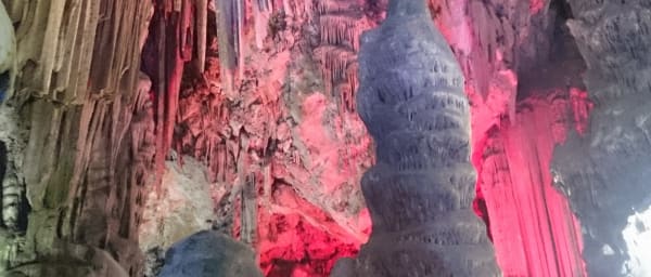 Full-Day Gibraltar Excursion from Seville with Rock Highlights