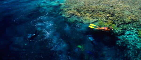 7-Day Sharm El Sheikh Tour with Cairo, Sinai Sunrise and Ras Mohammed