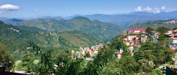 2-Day Shimla Seven Hills Camping Tour with Sightseeing