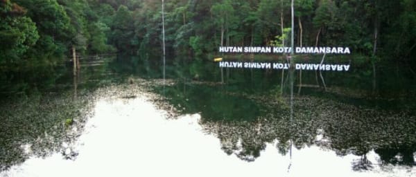 Full-Day Nature Walk in Kota Damansara with Ethnic Borneo Spa