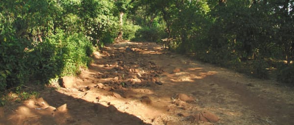 Full-Day Lake Tana and Zeghe Peninsula Tour with Ararat Hill Trek
