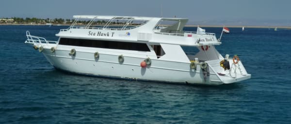 1-Day Dahab Snorkeling Tour to Napoleon Reef, Three Pools and Moray Garden