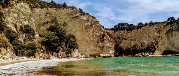 10-Hour Coromandel Tour from Auckland with Cathedral Cove and Hot Water Beach