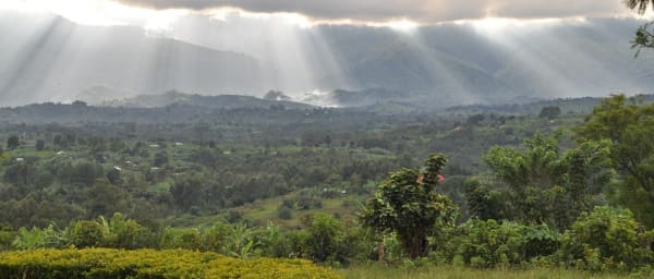 1-Day Mount Rwenzori Hike with Bakonjo Culture and Fort Portal Views