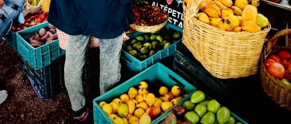 4-Hour Agroecological Market Tour in Mexico City with Huerto Roma Verde