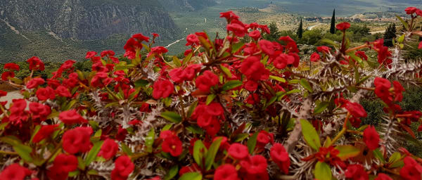 11-Hour Private Delphi Tour with Arachova and Oracle of Apollo