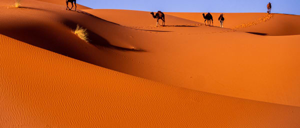 2-Day Desert Tour to Matmata, Ksar Ghilane and Kairouan