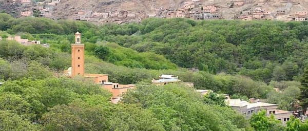 Full-Day Berber Experience in the Atlas Mountains from Marrakech