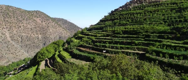2-Day High Atlas Mountain Trek from Marrakech via Tizi Oussem