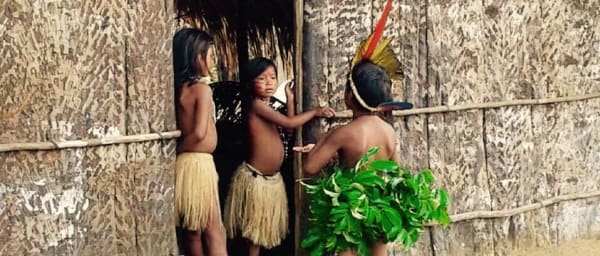 1-Day Amazon Jungle Expedition in Manaus with Dessana Tribe Visit