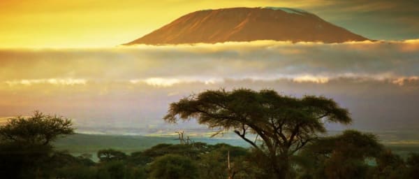 6-Day Kilimanjaro Umbwe Route Trek to Uhuru Peak