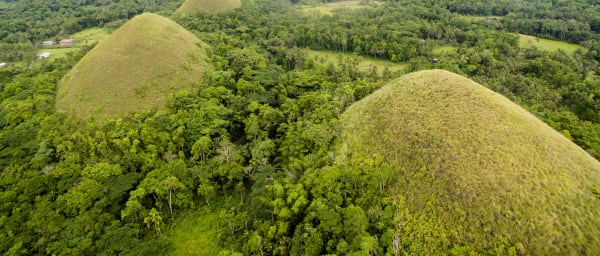 8-Day Bohol Nature and Adventure Tour with Oslob and Pescador