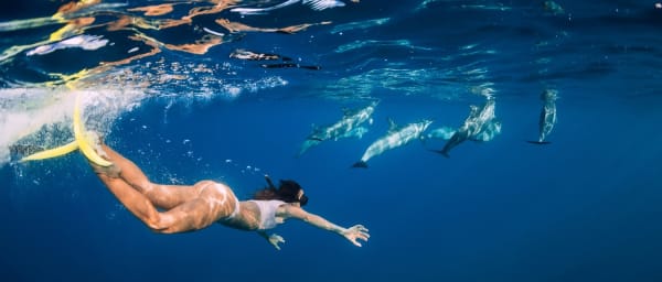 2-Hour Dolphin Swimming Experience in Azores from Ponta Delgada