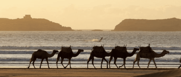 11-Day Morocco Adventure through Marrakech, Merzouga and Essaouira