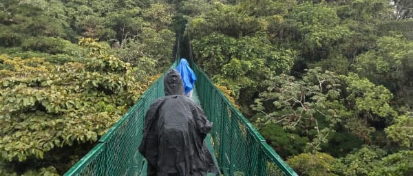 Full-Day Monteverde Zip Line and Hanging Bridges Tour from San José