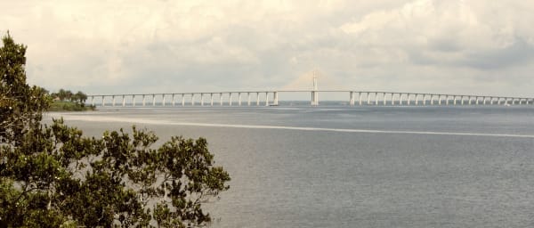 5-Hour Nature Tour of Manaus with MUSA Park and Observation Tower