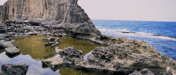 8-Hour Tripoli and Batroun Sightseeing Tour from Beirut