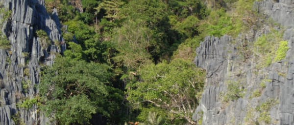 5-Day Palawan Island Tour with Underground River and El Nido