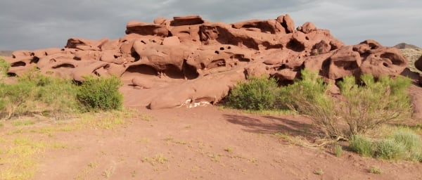2-Day Safari Tour of Almaty and Altyn Emel National Park