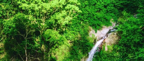 8-Hour Lombok Waterfall Tour to Senaru with Tiu Kelep Trek