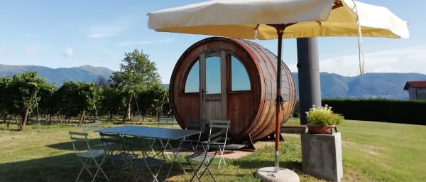 1-Day Prosecco Hills Wine Tour from Venice with 2 Cellar Tastings