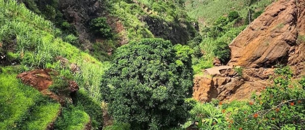 7-Day Cape Verde Islands Tour with Santo Antão Hikes and Turtles