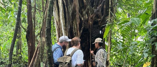 2-Hour Sloth and Coffee Tour in Bijagua at Finca Verde and Vida Nueva